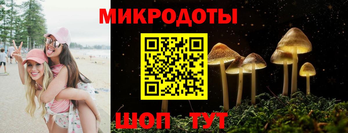 Псилоцибиновые грибы мухоморы Домодедово