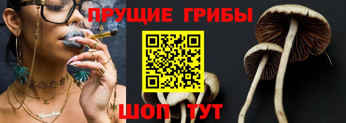 Псилоцибиновые грибы Psilocybine cubensis  Псилоцибиновые грибы мицелий  Вход с VPN  Домодедово 